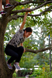 Full length of woman standing on tree trunk