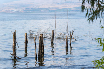 Wooden posts in sea