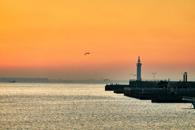 Birds flying over sea against orange sky