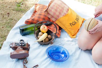 Young beautiful caucasian girl dressed in pin-up style on a picnic with fruits