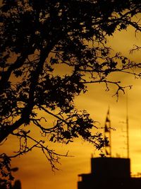 Low angle view of silhouette tree against sky