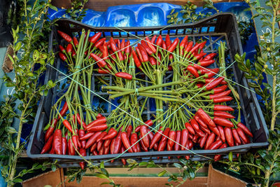 High angle view of fresh red chili peppers in plastic crate