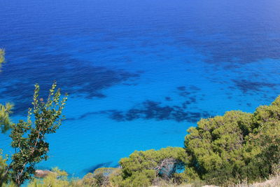 High angle view of trees by sea