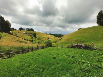 Scenic view of field against sky