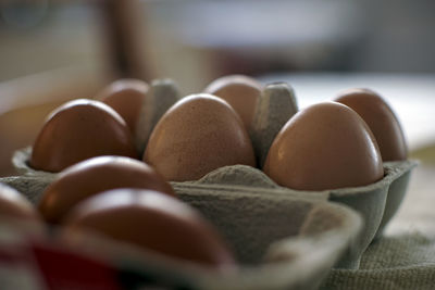 Close-up of eggs on table