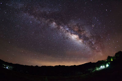 Low angle view of silhouette trees against star field