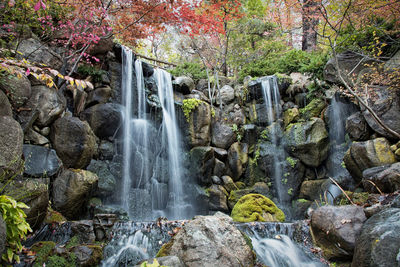 View of waterfall in forest