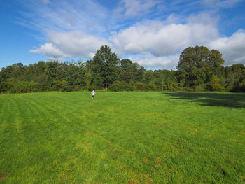 Scenic view of grass field in the park  against sky