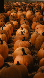 Full frame shot of pumpkins for sale at market