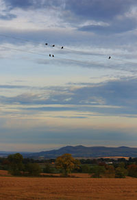 Birds flying over landscape against sky