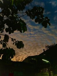 Low angle view of silhouette tree against sky