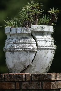 Close-up of stone wall