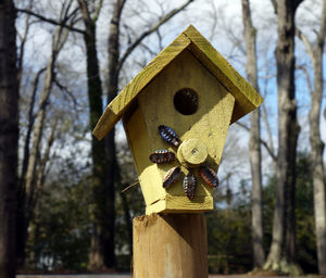 Close-up of birdhouse on tree trunk