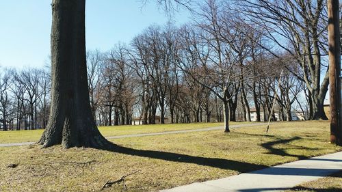 Scenic view of grassy field against sky