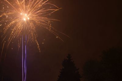 Low angle view of firework display