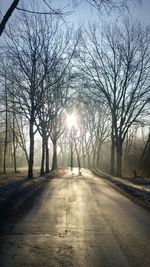 Road amidst trees against sky during sunset