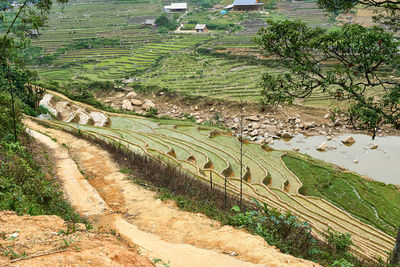 High angle view of agricultural field