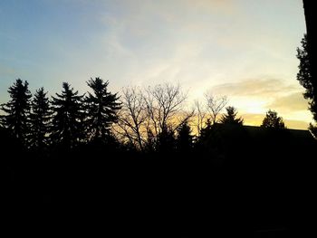 Low angle view of silhouette trees against sky during sunset