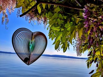 Heart shape decoration hanging from tree by lake against sky