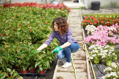 Woman working in greenhouse