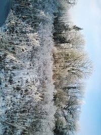 Scenic view of snow covered landscape