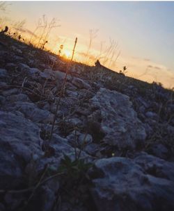 Close-up of snow against sky during sunset