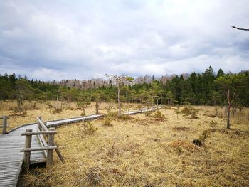 Scenic view of field against sky