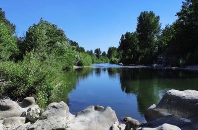 Scenic view of lake in forest against sky