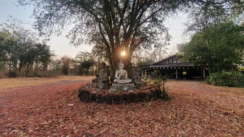 Statue in park against sky