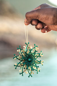 Close-up of hand holding plant