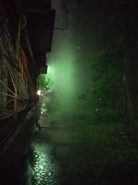 Illuminated walkway at night