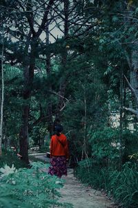 Rear view of man walking in forest