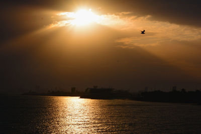 Silhouette birds flying over lake against sky during sunset