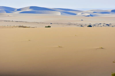 Scenic view of desert against sky