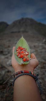 Midsection of person holding fruit