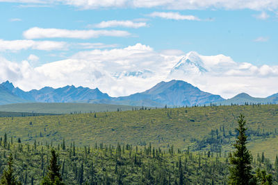 mountain