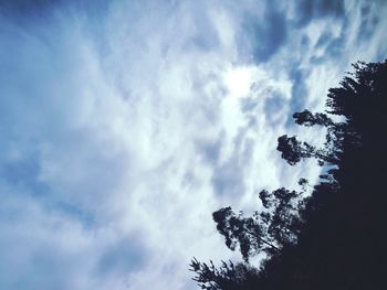 Low angle view of silhouette trees against sky