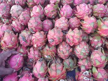 High angle view of dragon fruit for sale in market