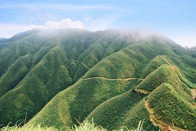 Scenic view of land against sky