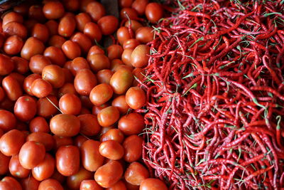 Bunch of spicy red chili and tomatoes