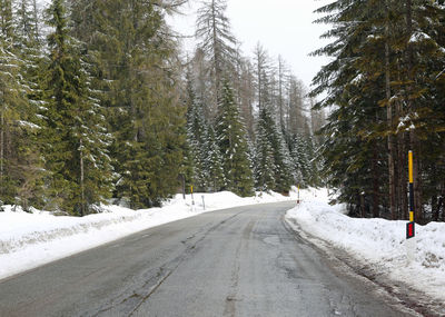 Mountain road with fir trees and lots of white snow