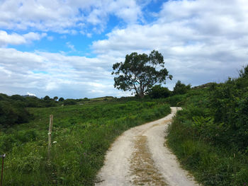 Empty road along plants and trees against sky