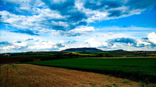 Scenic view of field against sky