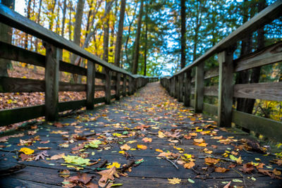 Autumn leaves fallen on footbridge in forest