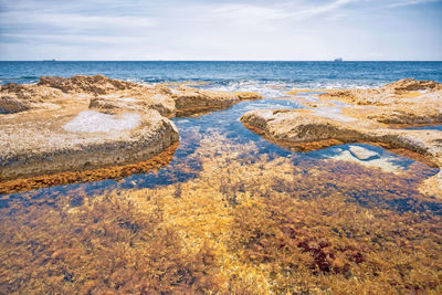 Scenic view of beach against sky