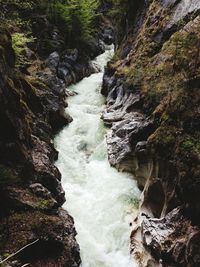 Scenic view of waterfall in forest