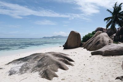 Scenic view of beach against sky