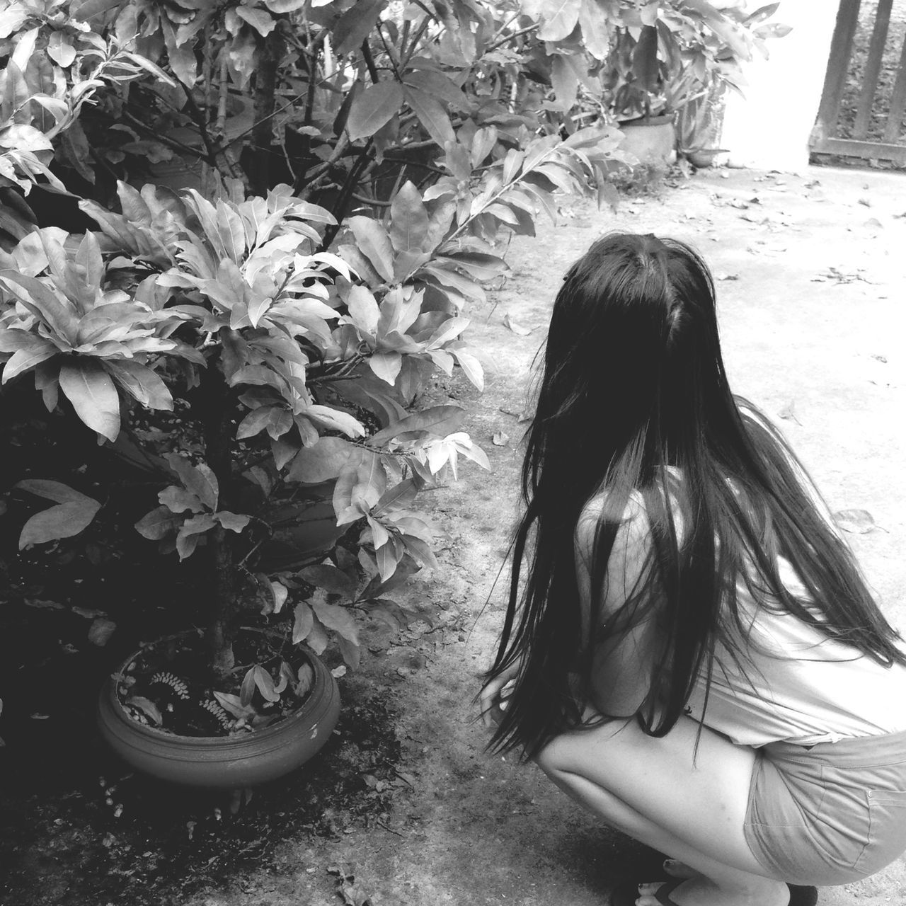 lifestyles, long hair, rear view, leisure activity, person, casual clothing, leaf, young women, standing, plant, day, outdoors, waist up, park - man made space, sitting, side view, nature, full length