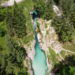 High angle view of rocks and trees in forest