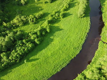 High angle view of green field